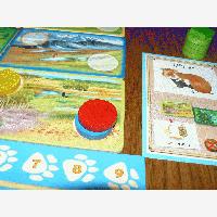 LudoPic