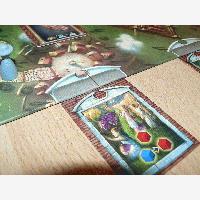 LudoPic