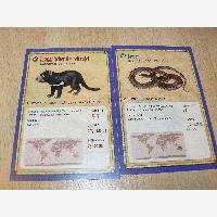 LudoPic