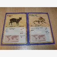 LudoPic