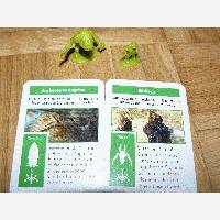 LudoPic